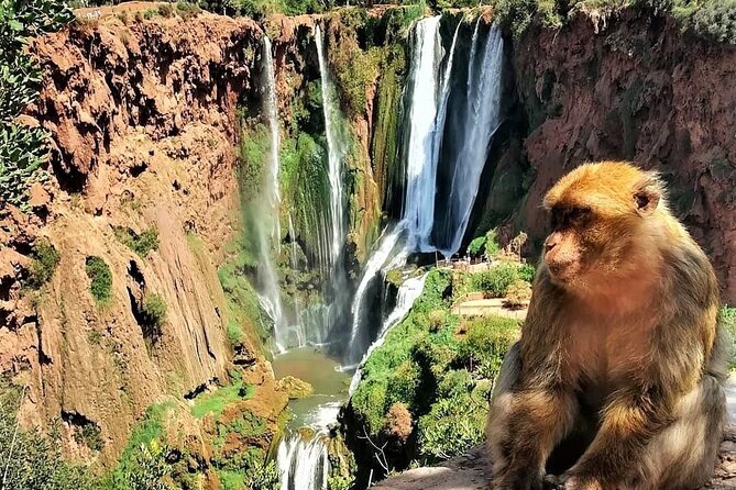 Ouzoud Waterfalls Day Trip, Morocco tours from Marrakech, Day tours