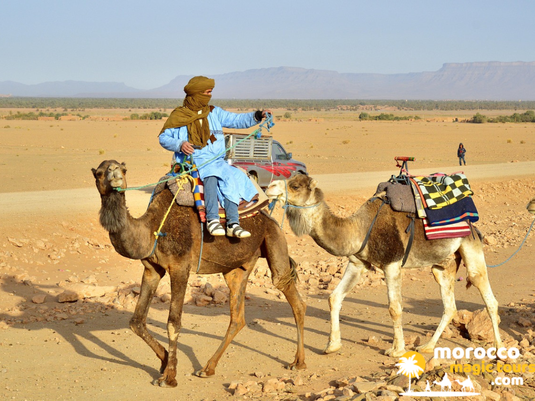 A local man in a blue robe rides a dromedary and leads another camel across an open, rocky desert landscape.