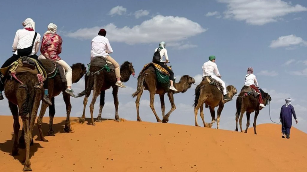 A group of travelers riding camels in single file along a Sahara sand dune, led by a Berber guide, on a Morocco desert tours excursion.