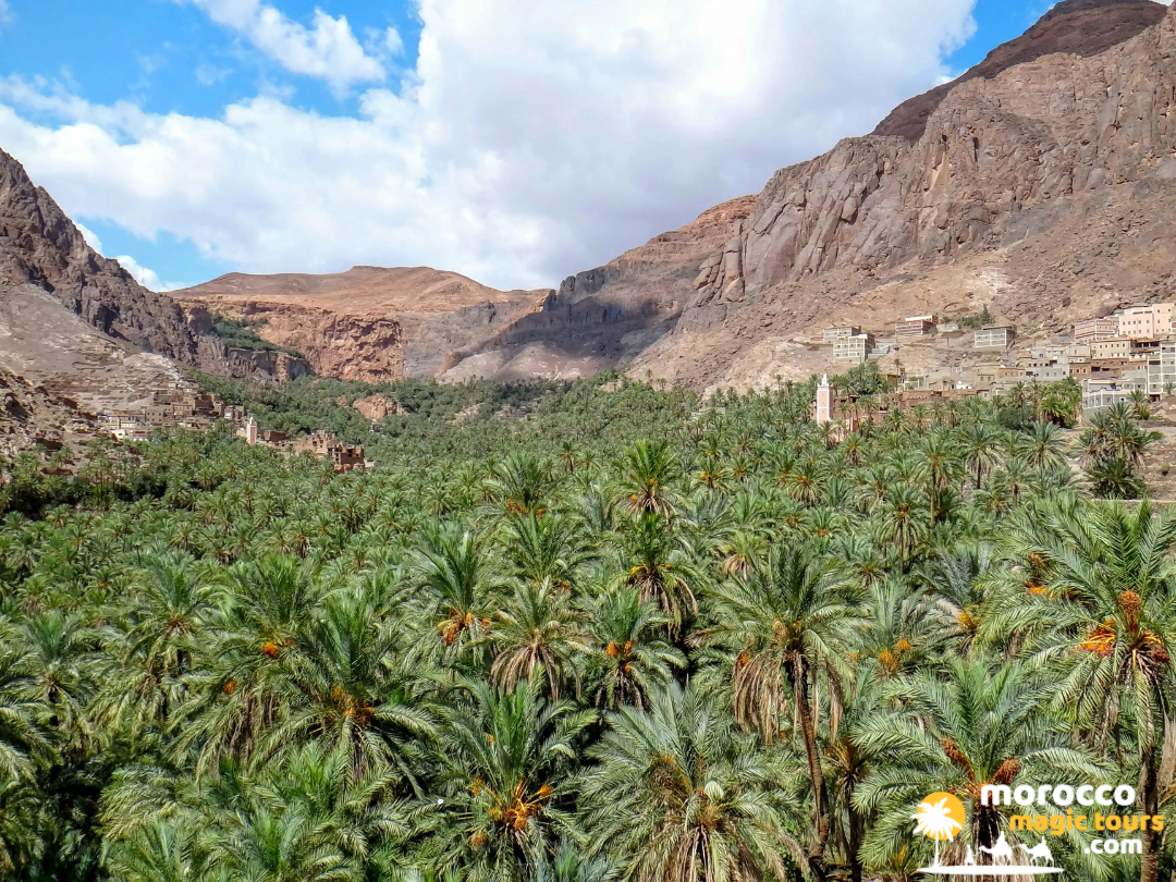 Panoramic view of the lush Ziz Valley palm oasis seen during a 3 days tour from fes to marrakech