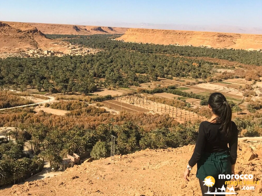 A traveler looking out over the expansive green Ziz Valley oasis on a 3 days tour from fes to marrakech