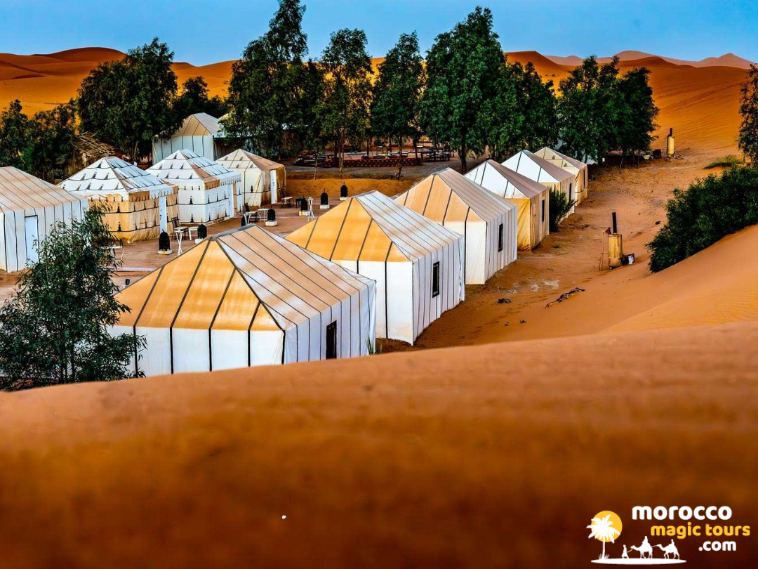 High-angle view of a luxury desert camp with premium white tents and green trees nestled against the massive orange dunes of Merzouga.