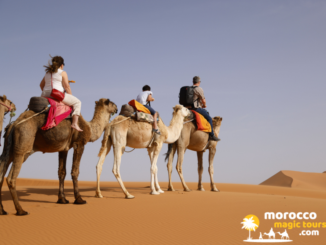 Travelers riding dromedaries across the golden sand dunes of the Sahara during a Morocco desert tour.
