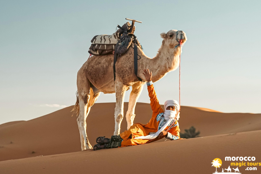 7 day Morocco tour – Berber camel guide on the Merzouga dunes