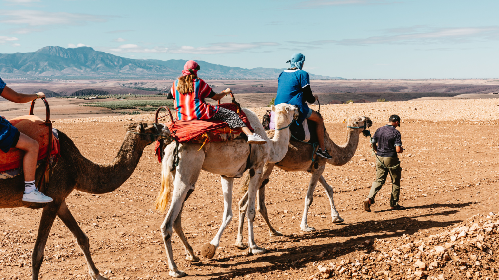 Half-Day Agafay Desert Tour from Marrakech