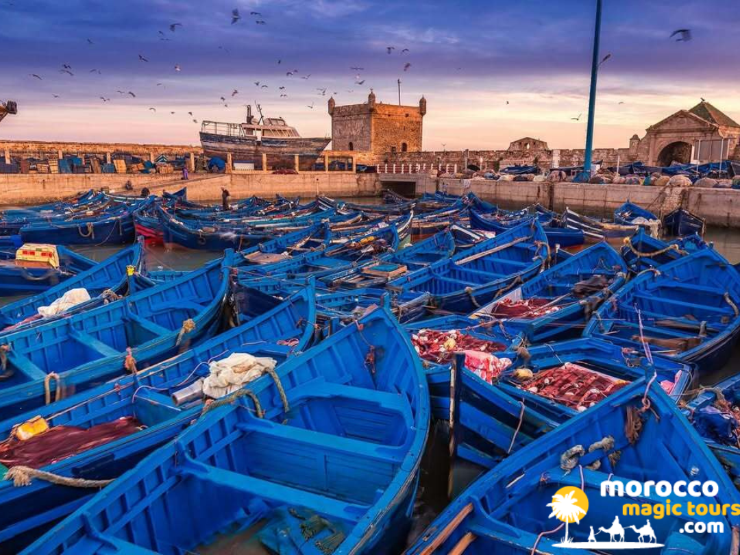 Wooden blue fishing boats docked in harbor at sunset on 9 days tour from casablanca