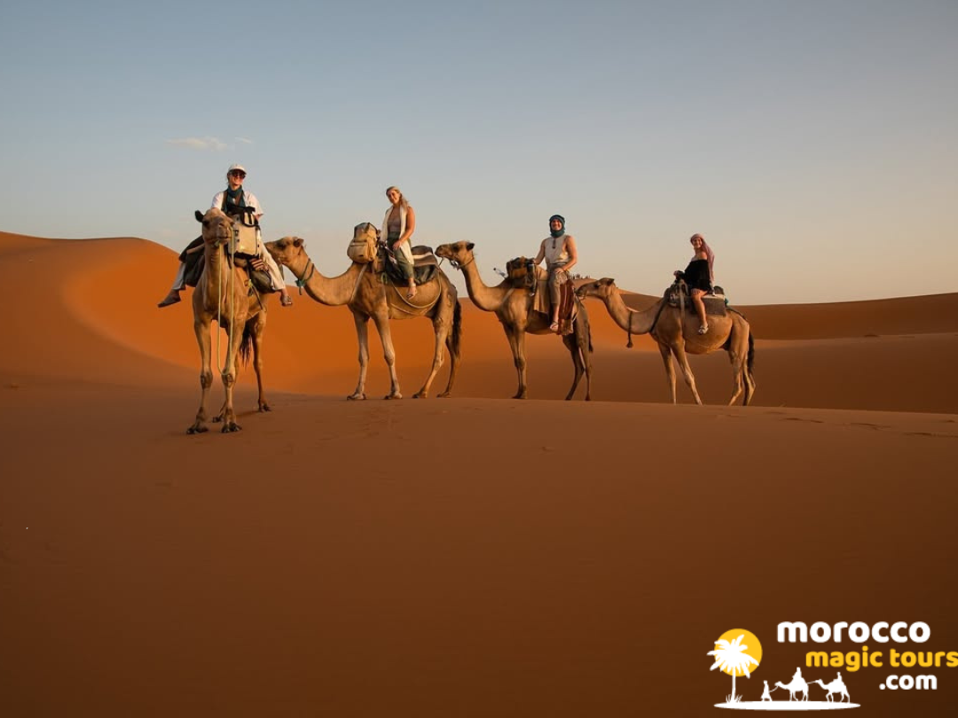 A small group of travelers riding dromedaries across the vast golden sands during a casablanca to sahara desert expedition.