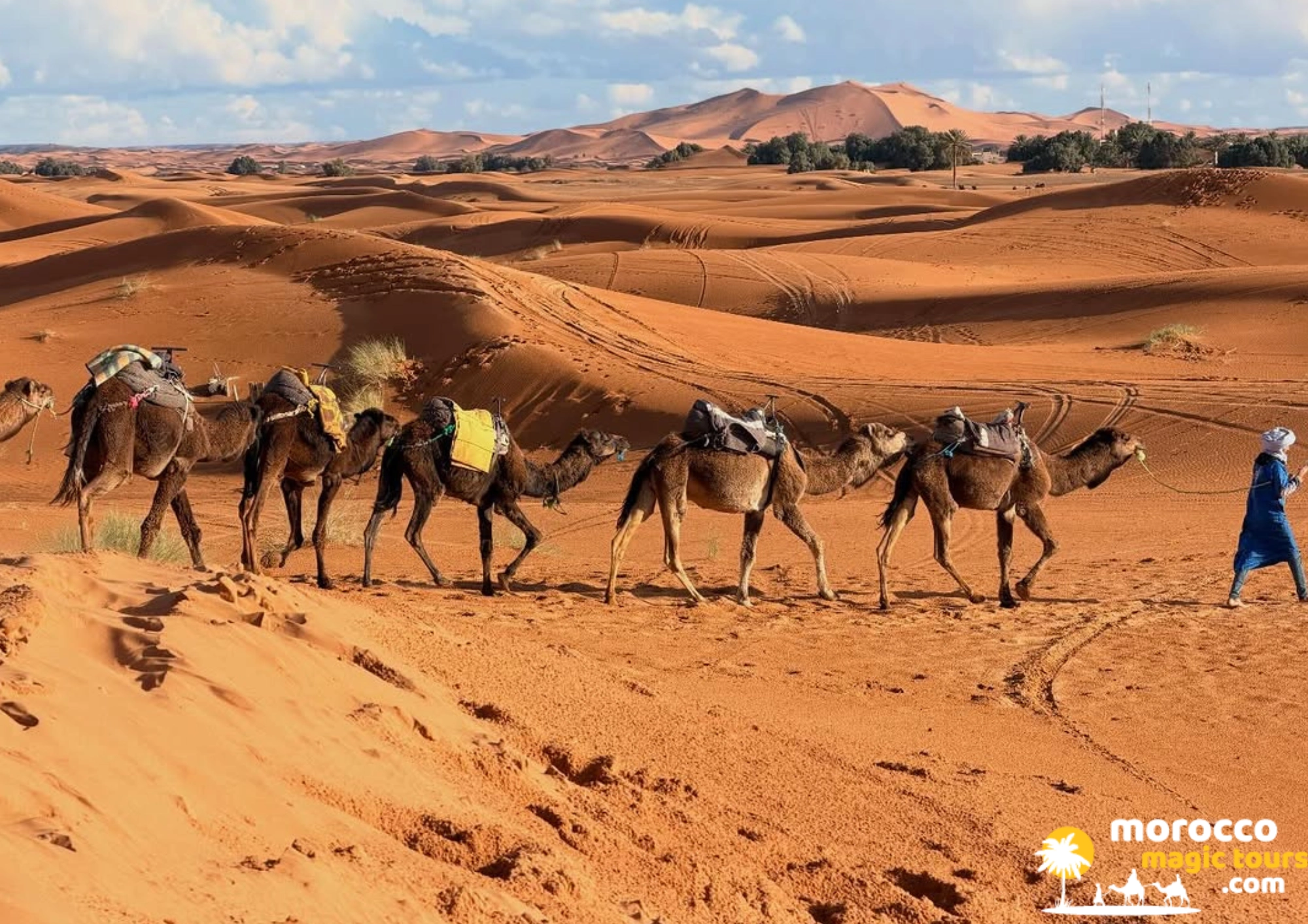 A caravan of dromedaries with a guide in blue robes walking through the dunes of the Erg Chebbi on a 6-day Casablanca desert tour.