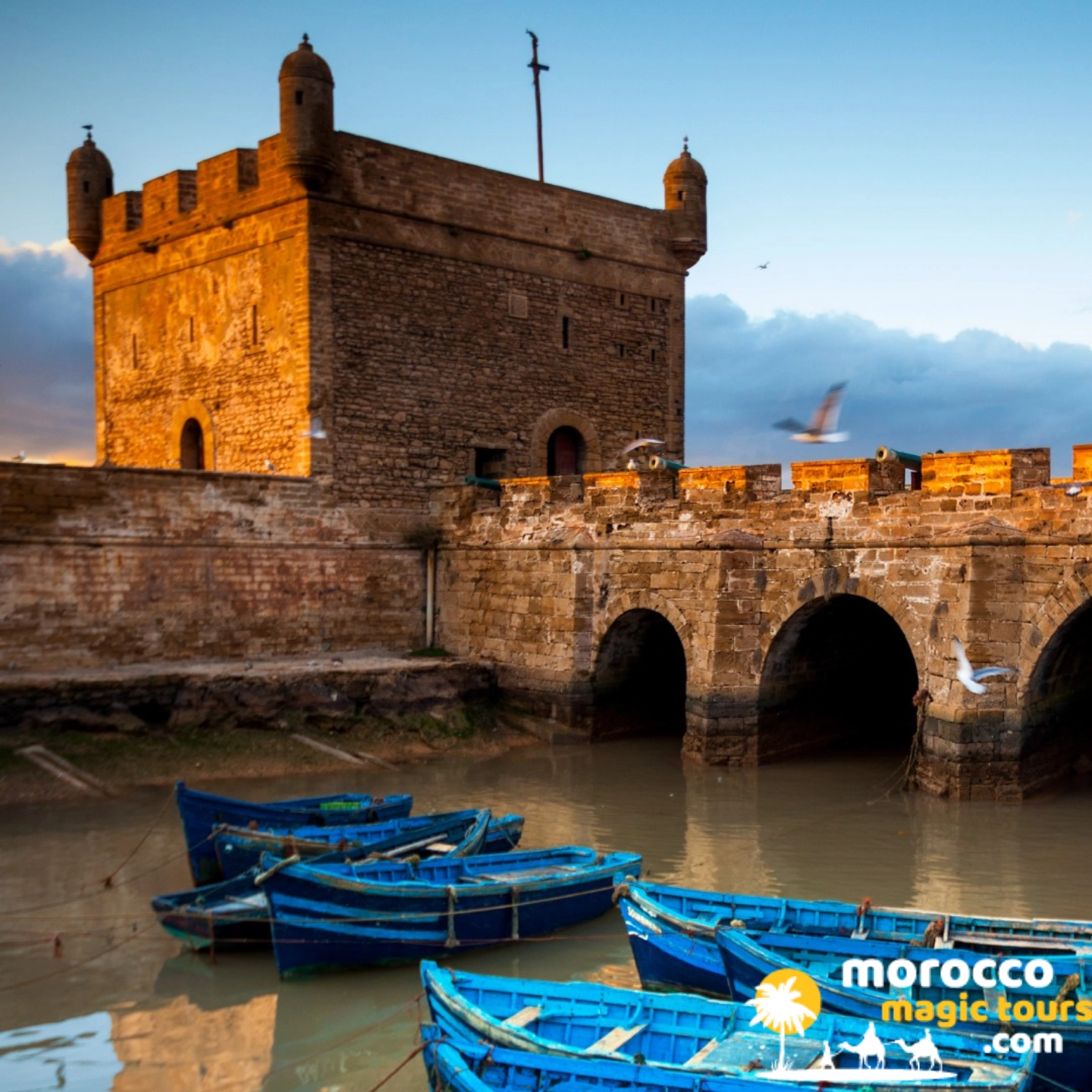 Skala du Port at sunset on an Essaouira day trip from Marrakech