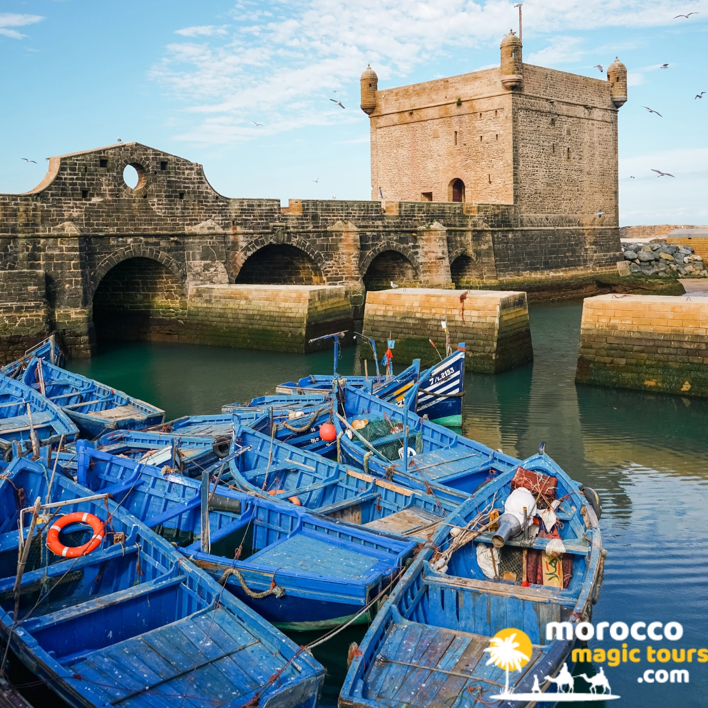 Blue fishing boats at the Skala du Port on a Marrakech to Essaouira private day tour