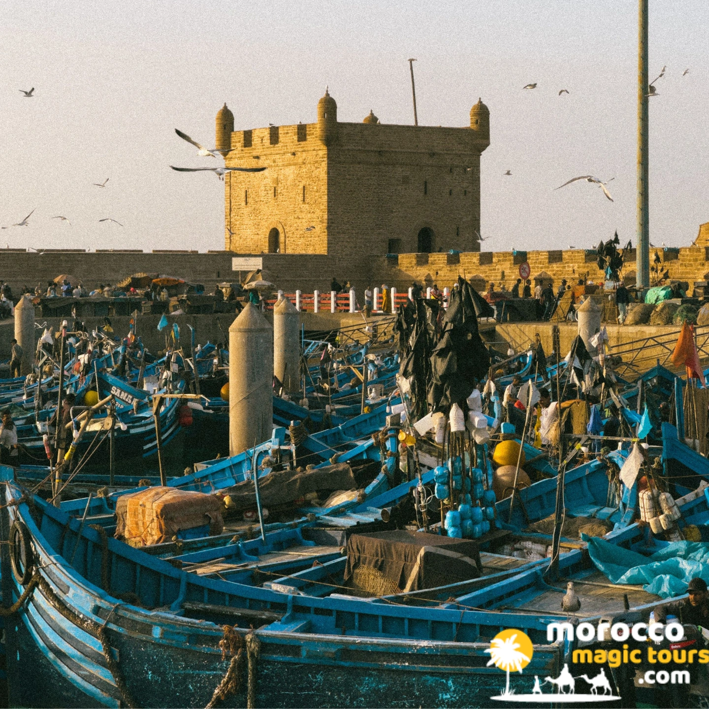Blue fishing boats and the Skala du Port fortress in Essaouira, a stop on the marrakech desert tour 12 days