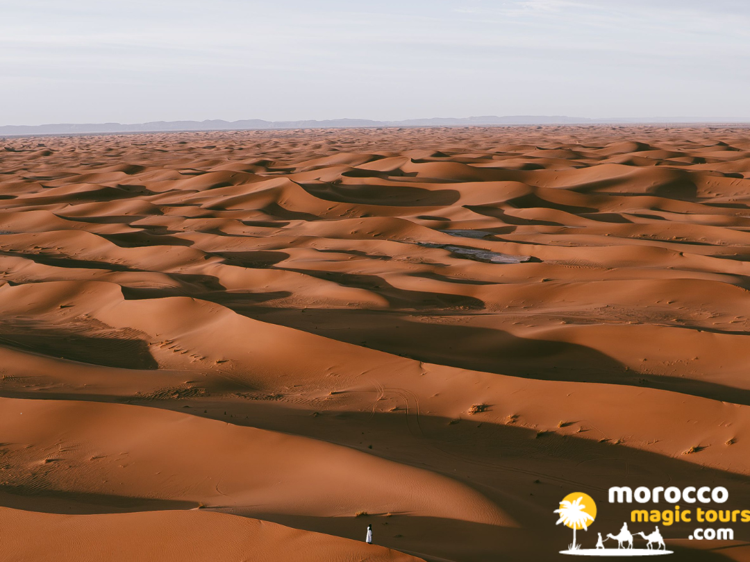 Wide panoramic view of the endless rolling orange sand dunes of Erg Chegaga in the Sahara.