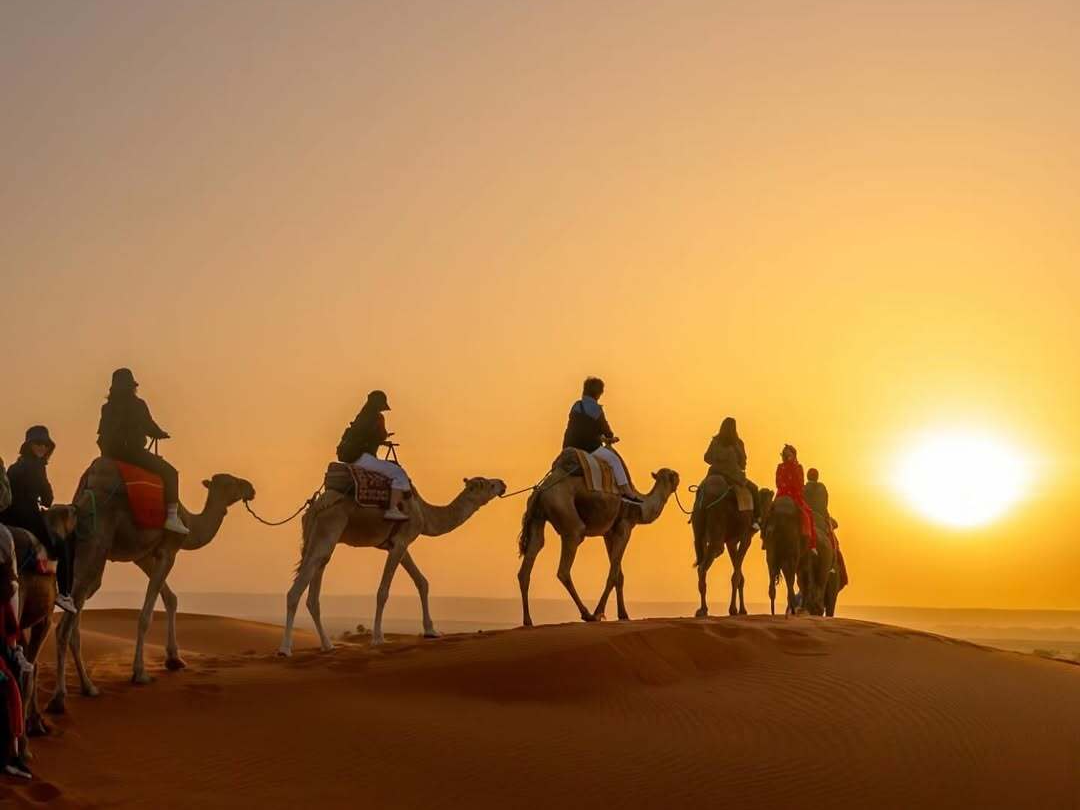 Group riding camels across the dunes during a camel ride Merzouga for sunset