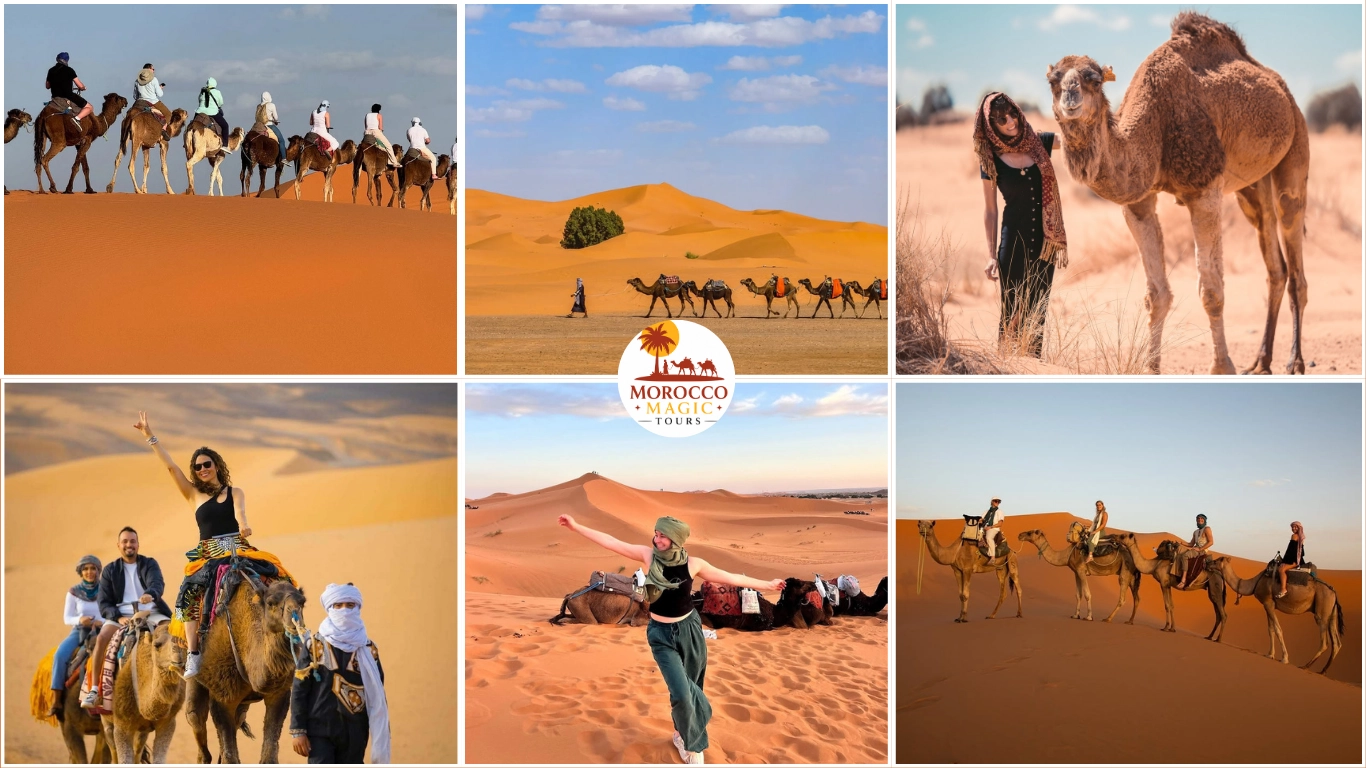 Camel Trekking in Merzouga - Sahara Desert Caravan Experience one of the popular Merzouga activities